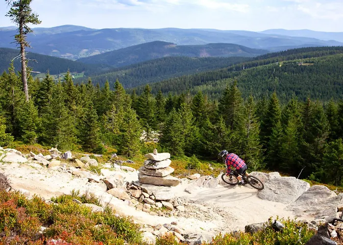 Czarna Gora 107 Apartment 3*